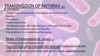 TRANSMISSION OF ANTHRAX (BY
B. ANTHRAX):
Common ways of transmission of the anthrax disease are through:
Wounds.
The pharynx.
Gastrointestinal tract.
The digestive system after ingesting spore contaminated food or water.
Skin lesions or abrasions caused by biting flies.
The breathing in of air containing anthrax spores.
Mode of transmission(B. cereus ):
The primary mode of transmission is via :
The ingestion of B. cereus contaminated food (emetic type of food poisoning has been
largely associated with the consumption of rice and pasta)
While the diarrheal type is transmitted mostly by milk products, vegetables and meat.
 