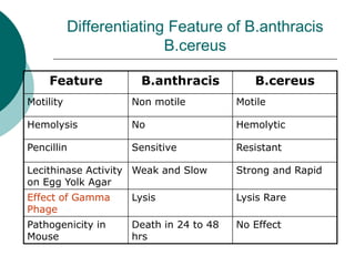 Differentiating Feature of B.anthracis
B.cereus
Feature B.anthracis B.cereus
Motility Non motile Motile
Hemolysis No Hemolytic
Pencillin Sensitive Resistant
Lecithinase Activity
on Egg Yolk Agar
Weak and Slow Strong and Rapid
Effect of Gamma
Phage
Lysis Lysis Rare
Pathogenicity in
Mouse
Death in 24 to 48
hrs
No Effect
 