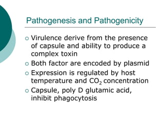 Pathogenesis and Pathogenicity
 Virulence derive from the presence
of capsule and ability to produce a
complex toxin
 Both factor are encoded by plasmid
 Expression is regulated by host
temperature and CO2 concentration
 Capsule, poly D glutamic acid,
inhibit phagocytosis
 