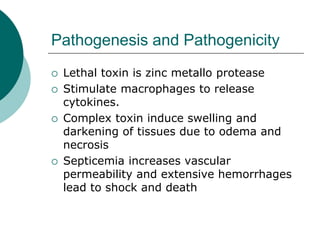 Pathogenesis and Pathogenicity
 Lethal toxin is zinc metallo protease
 Stimulate macrophages to release
cytokines.
 Complex toxin induce swelling and
darkening of tissues due to odema and
necrosis
 Septicemia increases vascular
permeability and extensive hemorrhages
lead to shock and death
 