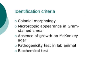 Identification criteria
 Colonial morphology
 Microscopic appearance in Gram-
stained smear
 Absence of growth on McKonkey
agar
 Pathogenicity test in lab animal
 Biochemical test
 