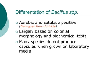 Differentation of Bacillus spp.
 Aerobic and catalase positive
(Distinguish from clostridia)
 Largely based on colonial
morphology and biochemical tests
 Many species do not produce
capsules when grown on laboratory
media
 