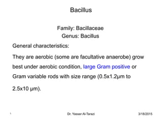 3/18/2015Dr. Yasser Al-Tarazi1
Bacillus
Family: Bacillaceae
Genus: Bacillus
General characteristics:
They are aerobic (some are facultative anaerobe) grow
best under aerobic condition, large Gram positive or
Gram variable rods with size range (0.5x1.2µm to
2.5x10 µm).
 