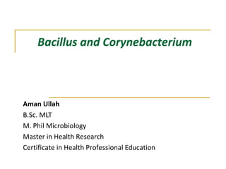Bacillus and Corynebacterium
Aman Ullah
B.Sc. MLT
M. Phil Microbiology
Master in Health Research
Certificate in Health Professional Education
 