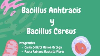 Bacillus Anhtracis
y
Bacillus Cereus
Integrantes:
• Carla Celeste Ochoa Ortega
• Paola Fabiana Bautista Flores
 