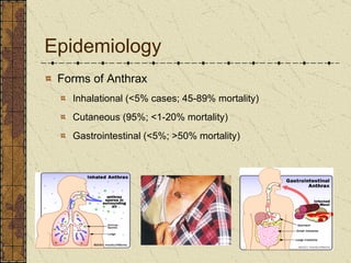 Epidemiology Forms of Anthrax Inhalational (<5% cases; 45-89% mortality) Cutaneous (95%; <1-20% mortality) Gastrointestinal (<5%; >50% mortality) 