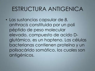 ESTRUCTURA ANTIGENICA
• Las sustancias capsular de B.
  anthracis constituida por un poli
  péptido de peso molecular
  elevado, compuesto de acido D-
  glutámico, es un hapteno. Las células
  bacterianas contienen proteína y un
  polisacárido somático, los cuales son
  antigénicos.
 