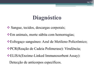 Diagnóstico
 Sangue, tecidos, descargas corporais;
Em animais, morte súbita com hemorragias;
Esfregaço sanguíneo: Azul de Metileno Policrômico;
PCR(Reação de Cadeia Polimerase): Virulência;
ELISA(Enzime-Linked Immunosorbent Assay):
Detecção de anticorpos específicos.
14/20
 