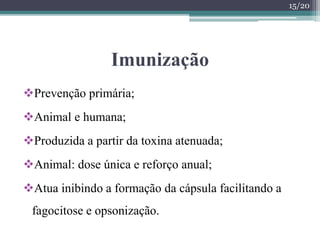Imunização
Prevenção primária;
Animal e humana;
Produzida a partir da toxina atenuada;
Animal: dose única e reforço anual;
Atua inibindo a formação da cápsula facilitando a
fagocitose e opsonização.
15/20
 