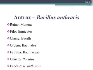 Antraz – Bacillus anthracis
Reino: Monera
Filo: firmicutes
Classe: Bacilli
Ordem: Bacillales
Família: Bacillaceae
Gênero: Bacillus
Espécie: B. anthracis
3/20
 