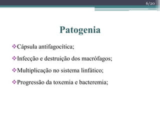 Patogenia
Cápsula antifagocítica;
Infecção e destruição dos macrófagos;
Multiplicação no sistema linfático;
Progressão da toxemia e bacteremia;
6/20
 