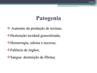 Patogenia
 Aumento da produção de toxinas;
Destruição tecidual generalizada;
Hemorragia, edema e necrose;
Falência de órgãos;
Sangue: destruição da fibrina;
7/20
 