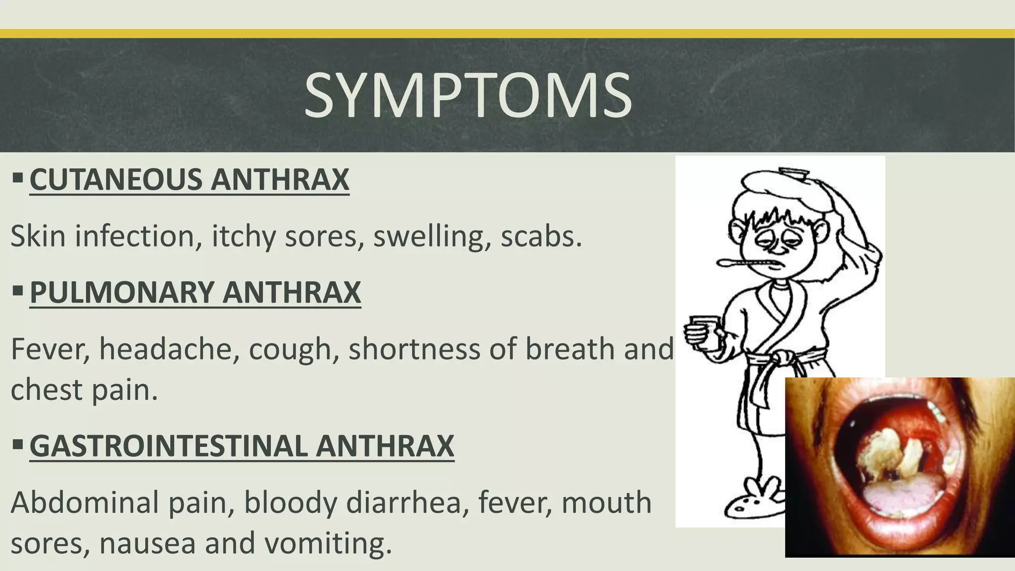 Bacillus anthracis | PPTX