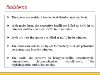 Resistance
 The spores are resistant to chemical disinfectants and heat.
 With moist heat, the vegetative bacilli are killed at 60°C in 30
minutes and the spores at 100°C in 10 minutes.
 With dry heat the spores are killed at 150°C in 60 minutes.
 The spores are also killed by 4% formaldehyde or 4% potassium
permanganate in a few minutes.
 The bacilli are sensitive to benzylpenicillin, streptomycin,
tetracyclines, chloramphenicol, ciprofloxacin, the
cephalosporins and sulfonamides
 