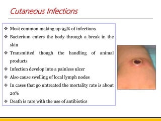 Cutaneous Infections
 Most common making up 95% of infections
 Bacterium enters the body through a break in the
skin
 Transmitted though the handling of animal
products
 Infection develop into a painless ulcer
 Also cause swelling of local lymph nodes
 In cases that go untreated the mortality rate is about
20%
 Death is rare with the use of antibiotics
 