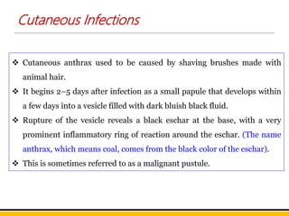 Cutaneous Infections
 Cutaneous anthrax used to be caused by shaving brushes made with
animal hair.
 It begins 2–5 days after infection as a small papule that develops within
a few days into a vesicle filled with dark bluish black fluid.
 Rupture of the vesicle reveals a black eschar at the base, with a very
prominent inflammatory ring of reaction around the eschar. (The name
anthrax, which means coal, comes from the black color of the eschar).
 This is sometimes referred to as a malignant pustule.
 