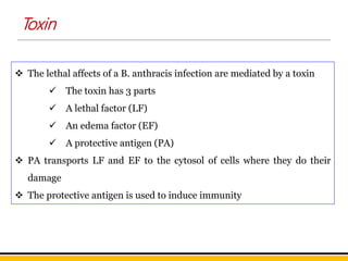  The lethal affects of a B. anthracis infection are mediated by a toxin
 The toxin has 3 parts
 A lethal factor (LF)
 An edema factor (EF)
 A protective antigen (PA)
 PA transports LF and EF to the cytosol of cells where they do their
damage
 The protective antigen is used to induce immunity
Toxin
 