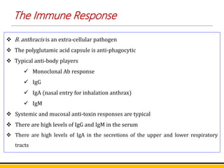  B. anthracis is an extra-cellular pathogen
 The polyglutamic acid capsule is anti-phagocytic
 Typical anti-body players
 Monoclonal Ab response
 IgG
 IgA (nasal entry for inhalation anthrax)
 IgM
 Systemic and mucosal anti-toxin responses are typical
 There are high levels of IgG and IgM in the serum
 There are high levels of IgA in the secretions of the upper and lower respiratory
tracts
The Immune Response
 