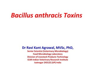 Bacillus anthracis Toxins
Dr Ravi Kant Agrawal, MVSc, PhD,
Senior Scientist (Veterinary Microbiology)
Food Microbiology Laboratory
Division of Livestock Products Technology
ICAR-Indian Veterinary Research Institute
Izatnagar 243122 (UP) India
 