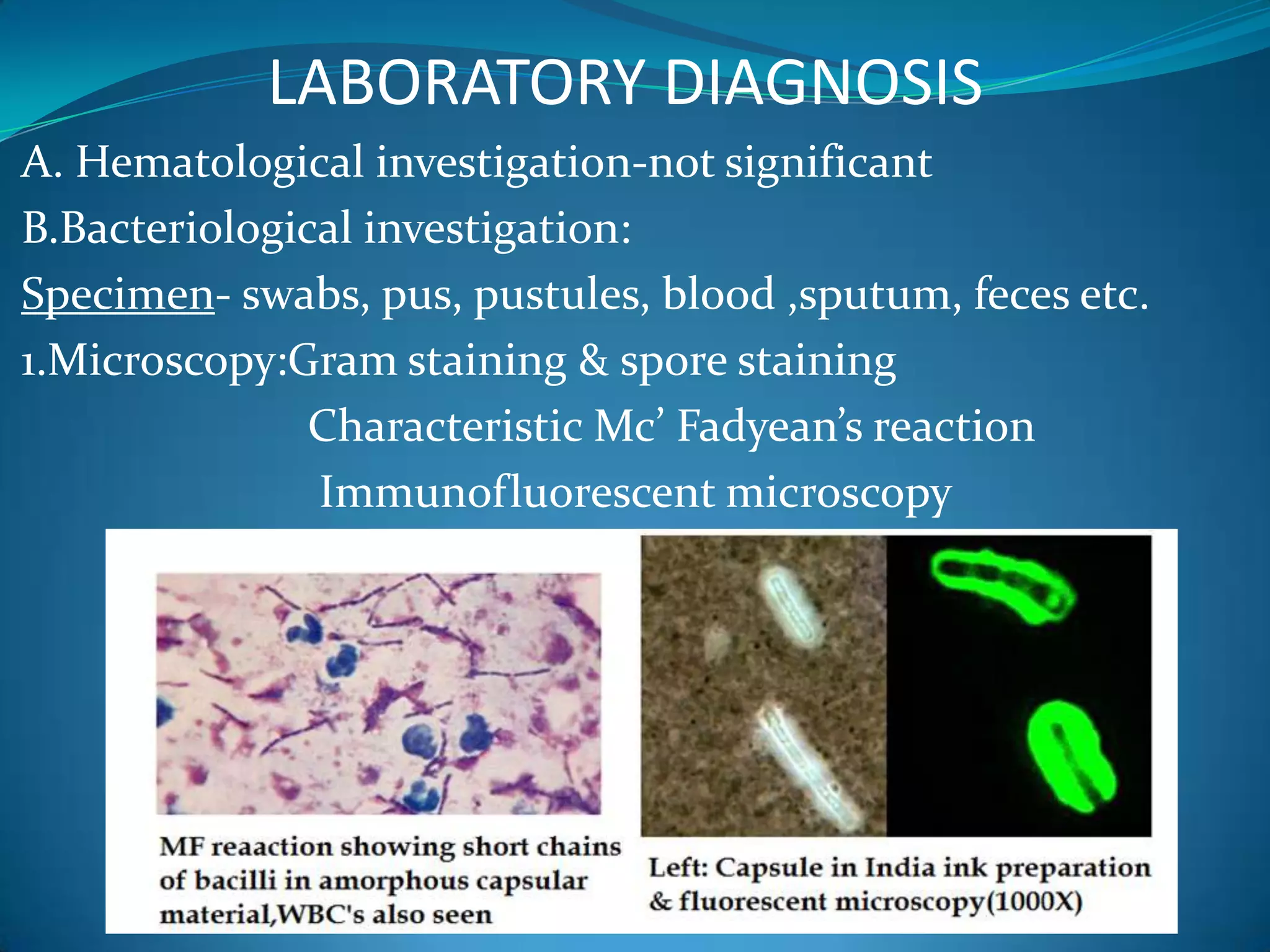 Bacillus anthrax ,a potent bioweapon | PPTX