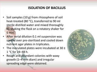 bacillus biocontol.pptx