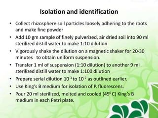 bacillus biocontol.pptx
