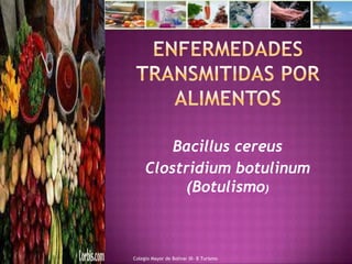 Enfermedades transmitidas por alimentos  Bacillus cereus Clostridium botulinum  (Botulismo) Colegio Mayor de Bolivar III- B Turismo 