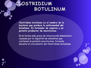 CLOSTRIDIUM     BOTULINUMClostridium botulinum es el nombre de la bacteria que produce la enfermedad del botulismo. Es formador de esporas y un potente productor de neurotoxina.Es la forma más grave de intoxicación alimentaria causada por la ingestión de alimentos que contienen la potente neurotoxina, formada durante el crecimiento del Clostridium botulinum. 