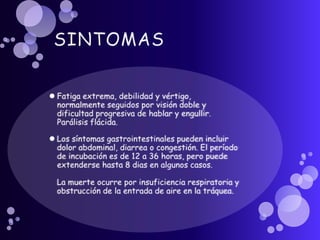 SINTOMASFatiga extrema, debilidad y vértigo, normalmente seguidos por visión doble y dificultad progresiva de hablar y engullir. Parálisis flácida. Los síntomas gastrointestinales pueden incluir dolor abdominal, diarrea o congestión. El período de incubación es de 12 a 36 horas, pero puede extenderse hasta 8 dias en algunos casos. La muerte ocurre por insuficiencia respiratoria y obstrucción de la entrada de aire en la tráquea.