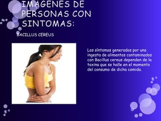 IMÁGENES DE PERSONAS CON SINTOMAS:BACILLUS CEREUSLos síntomas generados por una ingesta de alimentos contaminados con Bacillus cereus dependen de la toxina que se halle en el momento del consumo de dicha comida.