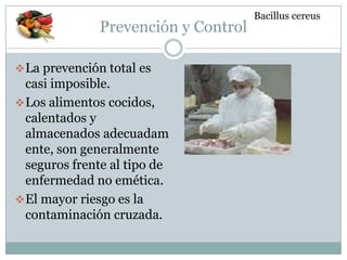 Prevención y Control
La prevención total es
casi imposible.
Los alimentos cocidos,
calentados y
almacenados adecuadam
ente, son generalmente
seguros frente al tipo de
enfermedad no emética.
El mayor riesgo es la
contaminación cruzada.
Bacillus cereus
 