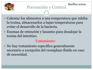 Prevención y Control
 Calentar los alimentos a una temperatura que inhiba
la toxina, almacenarlos a bajas temperaturas para
evitar el desarrollo de la bacteria.
 Enemas de retención y laxantes para desalojar la
toxina del intestino.
Tratamiento:
 No hay tratamiento específico generalmente
necesario a excepción del reemplazo fluído en caso
de necesidad.
Bacillus cereus
 