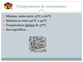 Temperaturas de crecimiento:
 Mínima están entre 15ºC a 20ºC
 Máxima es entre 40ºC a 45ºC
 Temperatura óptima de 37ºC
 Son saprófitos.
 