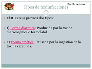 Tipos de toxiinfecciones
 El B. Cereus provoca dos tipos:
 1) Forma diarreica: Producida por la toxina
diarreogénica o termolábil.
 2) Forma emética: Causada por la ingestión de la
toxina cereulida.
Bacillus cereus
 