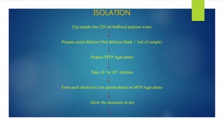 ISOLATION
25g sample into 225 ml buffered peptone water.
Prepare serial dilution (9ml dilution blank + 1ml of sample)
Prepare MYP Agar plates
Take 10-1 to 10-3 dilution
From each dilution 0.1ml spread plated on MYP Agar plates
Allow the inoculum to dry
 