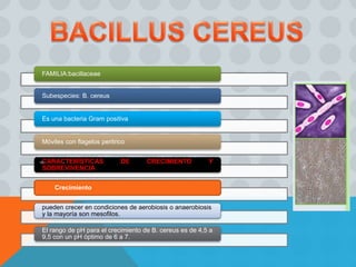 FAMILIA:bacillaceae
Subespecies: B. cereus
Es una bacteria Gram positiva
Móviles con flagelos peritrico
CARACTERÍSTICAS DE CRECIMIENTO Y
SOBREVIVENCIA
Crecimiento
pueden crecer en condiciones de aerobiosis o anaerobiosis
y la mayoría son mesofilos.
El rango de pH para el crecimiento de B. cereus es de 4,5 a
9,5 con un pH óptimo de 6 a 7.
 