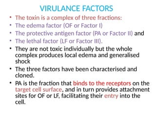 VIRULANCE FACTORS
• The toxin is a complex of three fractions:
• The edema factor (OF or Factor I)
• The protective antigen factor (PA or Factor II) and
• The lethal factor (LF or Factor III).
• They are not toxic individually but the whole
complex produces local edema and generalised
shock
• The three factors have been characterised and
cloned.
• PA is the fraction that binds to the receptors on the
target cell surface, and in turn provides attachment
sites for OF or LF, facilitating their entry into the
cell.
 