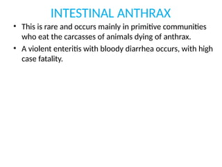 INTESTINAL ANTHRAX
• This is rare and occurs mainly in primitive communities
who eat the carcasses of animals dying of anthrax.
• A violent enteritis with bloody diarrhea occurs, with high
case fatality.
 