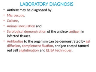 LABORATORY DIAGNOSIS
• Anthrax may be diagnosed by:
• Microscopy,
• Culture,
• Animal inoculation and
• Serological demonstration of the anthrax antigen in
infected tissues.
• Antibodies to the organism can be demonstrated by gel
diffusion, complement fixation, antigen coated tanned
red cell agglutination and ELISA techniques.
 