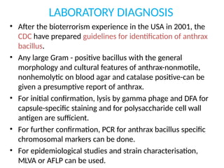 LABORATORY DIAGNOSIS
• After the bioterrorism experience in the USA in 2001, the
CDC have prepared guidelines for identification of anthrax
bacillus.
• Any large Gram - positive bacillus with the general
morphology and cultural features of anthrax-nonmotile,
nonhemolytic on blood agar and catalase positive-can be
given a presumptive report of anthrax.
• For initial confirmation, lysis by gamma phage and DFA for
capsule-specific staining and for polysaccharide cell wall
antigen are sufficient.
• For further confirmation, PCR for anthrax bacillus specific
chromosomal markers can be done.
• For epidemiological studies and strain characterisation,
MLVA or AFLP can be used.
 