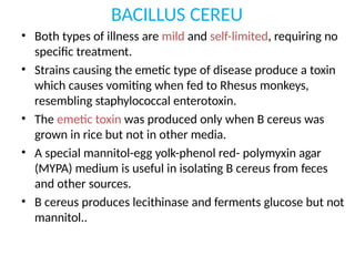 BACILLUS CEREU
• Both types of illness are mild and self-limited, requiring no
specific treatment.
• Strains causing the emetic type of disease produce a toxin
which causes vomiting when fed to Rhesus monkeys,
resembling staphylococcal enterotoxin.
• The emetic toxin was produced only when B cereus was
grown in rice but not in other media.
• A special mannitol-egg yolk-phenol red- polymyxin agar
(MYPA) medium is useful in isolating B cereus from feces
and other sources.
• B cereus produces lecithinase and ferments glucose but not
mannitol..
 