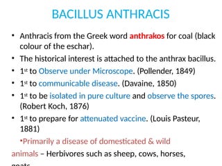 BACILLUS ANTHRACIS
• Anthracis from the Greek word anthrakos for coal (black
colour of the eschar).
• The historical interest is attached to the anthrax bacillus.
• 1st to Observe under Microscope. (Pollender, 1849)
• 1st to communicable disease. (Davaine, 1850)
• 1st to be isolated in pure culture and observe the spores.
(Robert Koch, 1876)
• 1st to prepare for attenuated vaccine. (Louis Pasteur,
1881)
•Primarily a disease of domesticated & wild
animals – Herbivores such as sheep, cows, horses,
 