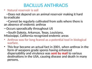 BACILLUS ANTHRACIS
• Natural reservoir is soil
–Does not depend on an animal reservoir making it hard
to eradicate
–Cannot be regularly cultivated from soils where there is
an absence of endemic anthrax
– Occurs sporadically throughout US
–South Dakota, Arkansas, Texas, Louisiana,
Mississippi, California recognized endemic areas
• Anthrax was for long feared as a potential tool in biological
warfare.
• This fear became an actual fact in 2001, when anthrax in the
form of weapons grade spores having enhanced
dispersability and virulence was sent by mail to various
destinations in the USA, causing disease and death in many
persons.
 