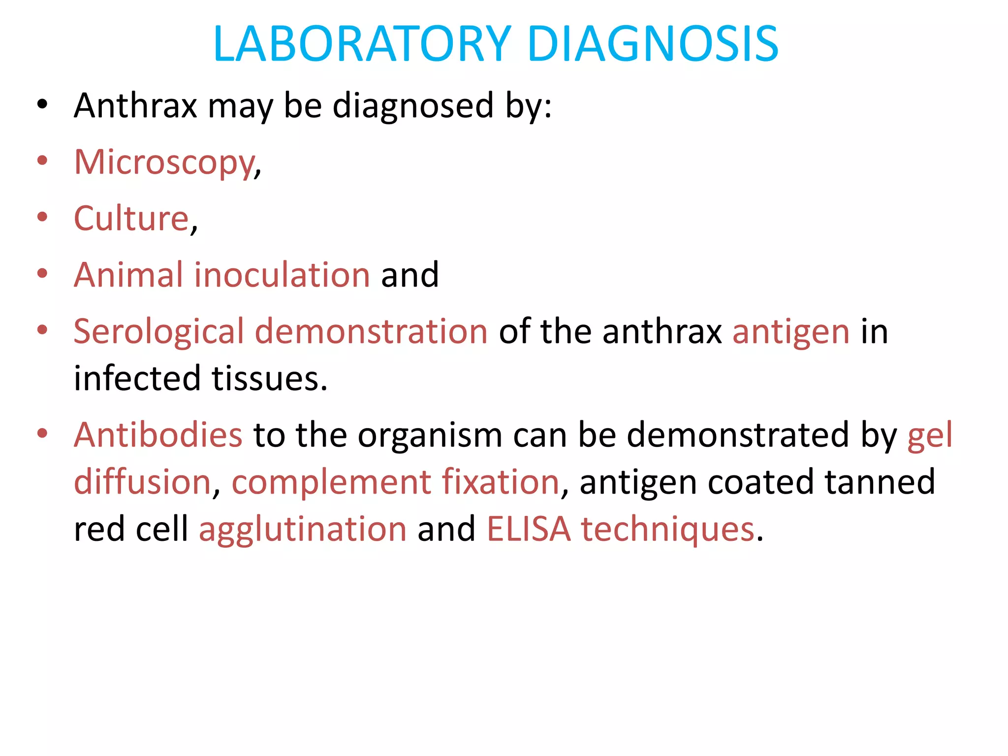 Bacillus | PPTX