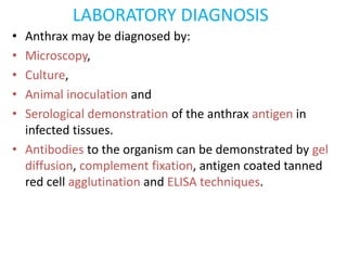 LABORATORY DIAGNOSIS
• Anthrax may be diagnosed by:
• Microscopy,
• Culture,
• Animal inoculation and
• Serological demonstration of the anthrax antigen in
infected tissues.
• Antibodies to the organism can be demonstrated by gel
diffusion, complement fixation, antigen coated tanned
red cell agglutination and ELISA techniques.
 