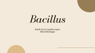 Karla Ivon Landa Lopez
Microbiología
Bacillus
 