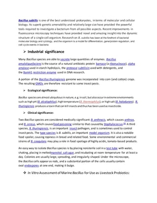 Bacillus subtilis is one of the best understood prokaryotes, in terms of molecular and cellular
biology. Its superb genetic amenability and relatively large size have provided the powerful
tools required to investigate a bacterium from all possible aspects. Recent improvements in
fluorescence microscopy techniques have provided novel and amazing insight into the dynamic
structure of a single cell organism. Research on B. subtilis has been at the forefront of bacterial
molecular biology and cytology, and the organism is a model for differentiation, gene/protein regulation, and
cell cycle events in bacteria
 Industrial significance
Many Bacillus species are able to secrete large quantities of enzymes. Bacillus
amyloliquefaciens is the source of a natural antibiotic protein barnase (a ribonuclease), alpha
amylase used in starch hydrolysis, the protease subtilisin used with detergents, and
the BamH1 restriction enzyme used in DNA research.
A portion of the Bacillus thuringiensis genome was incorporated into corn (and cotton) crops.
The resulting GMOs are therefore resistant to some insect pests.
 Ecological significance:
Bacillus speciesare almostubiquitousinnature,e.g.insoil,butalsooccurinextreme environments
such as highpH (B. alcalophilus),hightemperature (B. thermophilus),or highsalt(B. halodurans). B.
thuringiensis producesa toxinthatcan kill insectsandthushas beenusedasinsecticide.
 Clinical significance:
Two Bacillus species are considered medically significant: B. anthracis, which causes anthrax,
and B. cereus, which causesfood poisoning similar to that caused by Staphylococcus.[6] A third
species, B. thuringiensis, is an important insect pathogen, and is sometimes used to control
insect pests. The type species is B. subtilis, an important model organism. It is also a notable
food spoiler, causing ropiness in bread and related food. Some environmental and commercial
strains of B. coagulans may play a role in food spoilage of highly acidic, tomato-based products.
An easy way to isolate Bacillus species is by placing nonsterile soil in a test tube with water,
shaking, placing in meltedmannitol salt agar, and incubating at room temperature for at least a
day. Colonies are usually large, spreading, and irregularly shaped. Under the microscope,
the Bacillus cells appear as rods, and a substantial portion of the cells usually contain
oval endospores at one end, making it bulge.
 In Vitro Assessmentof MarineBacillus for Use as Livestock Probiotics:
 