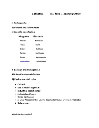 Contents: Main TOPIC : Bacillus pumilus
1) Bacillus pumilus
2) Genome and cell structure
3) Scientific classification
Kingdom Bacteria
Phylum: Firmicutes
Class: Bacilli
Order: Bacillates
Family: Bacillaceae
Genes: Bacillus pumilus
Binomial name: Bacillus pumilus
4) Ecology and Pathogenesis
5) B.PumilusHuman infection
6) Environmental roles
 Cell wall:
 Use as model organism
 Industrial significance
 Ecological significance:
 Clinical significance:
 In Vitro Assessmentof MarineBacillus for Use as Livestock Probiotics
 References
what is bacillus pumilus?
 