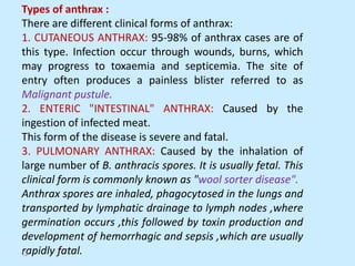 Types of anthrax :
There are different clinical forms of anthrax:
1. CUTANEOUS ANTHRAX: 95-98% of anthrax cases are of
this type. Infection occur through wounds, burns, which
may progress to toxaemia and septicemia. The site of
entry often produces a painless blister referred to as
Malignant pustule.
2. ENTERIC "INTESTINAL" ANTHRAX: Caused by the
ingestion of infected meat.
This form of the disease is severe and fatal.
3. PULMONARY ANTHRAX: Caused by the inhalation of
large number of B. anthracis spores. It is usually fetal. This
clinical form is commonly known as "wool sorter disease".
Anthrax spores are inhaled, phagocytosed in the lungs and
transported by lymphatic drainage to lymph nodes ,where
germination occurs ,this followed by toxin production and
development of hemorrhagic and sepsis ,which are usually
rapidly fatal.
12
 