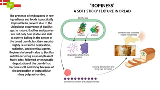 Bread Ropiness Bacillus subtilis: INTRO, CLASSIFICATION, SPORULATION, REASONS ...